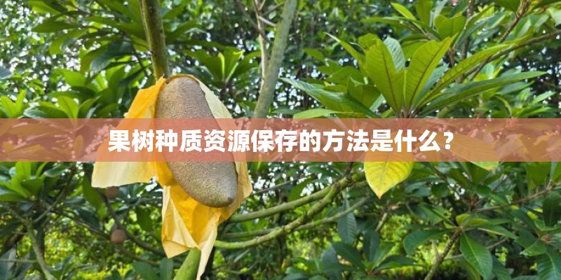 果树种质资源保存的方法是什么？