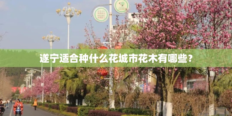 遂宁适合种什么花城市花木有哪些？