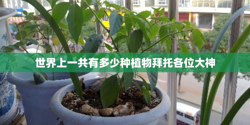 世界上一共有多少种植物拜托各位大神