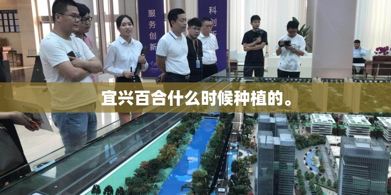 宜兴百合什么时候种植的。