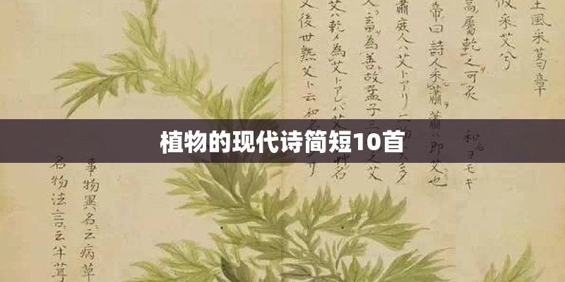 植物的现代诗简短10首