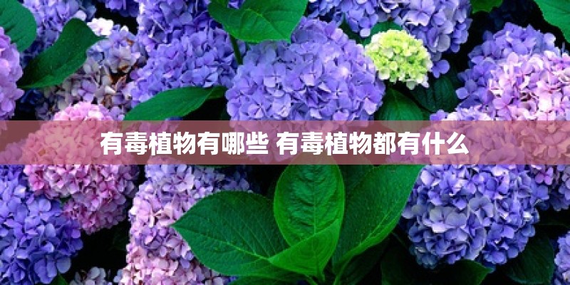 有毒植物有哪些 有毒植物都有什么