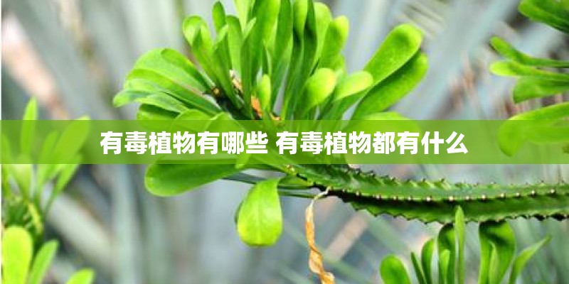 有毒植物有哪些 有毒植物都有什么