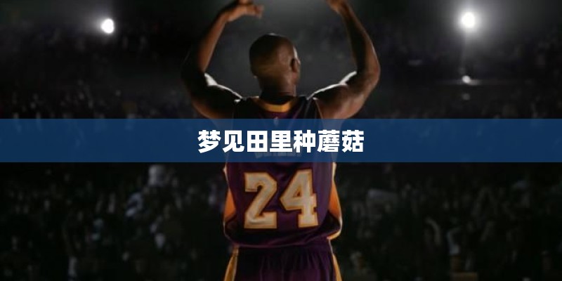 梦见田里种蘑菇