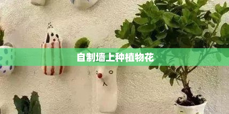 自制墙上种植物花