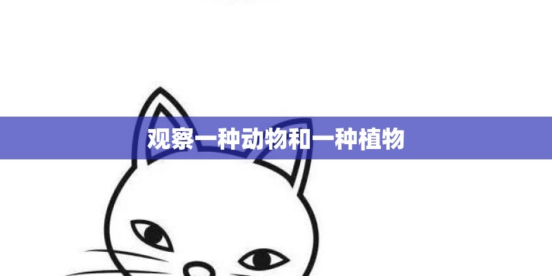 观察一种动物和一种植物