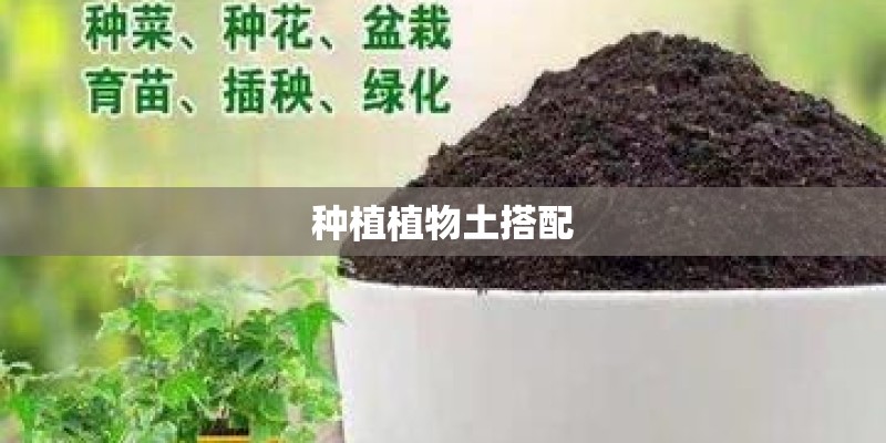 种植植物土搭配