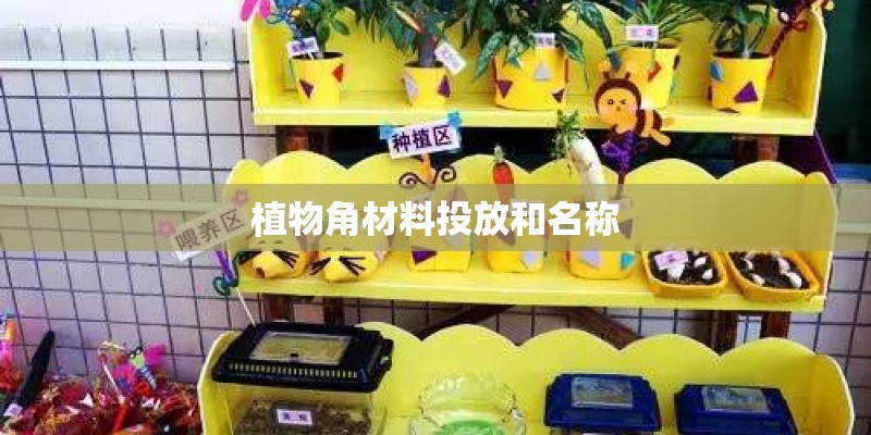 植物角材料投放和名称
