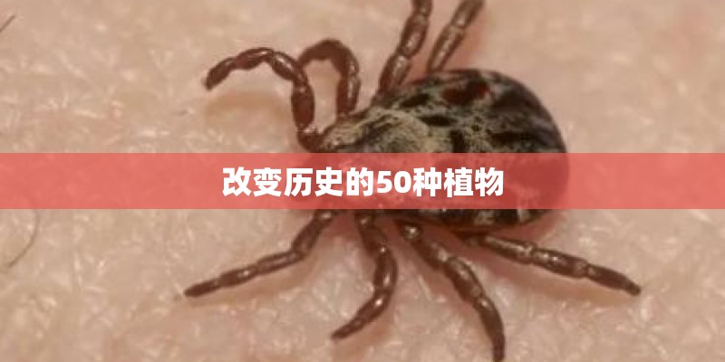 改变历史的50种植物