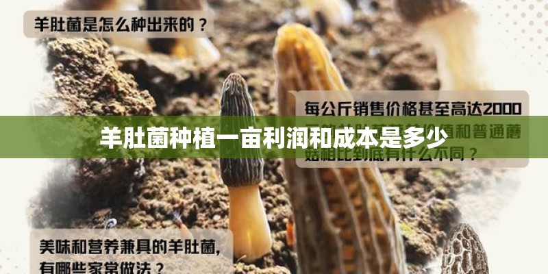 羊肚菌种植一亩利润和成本是多少