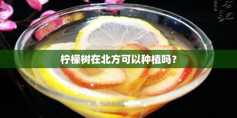 小米note9参数