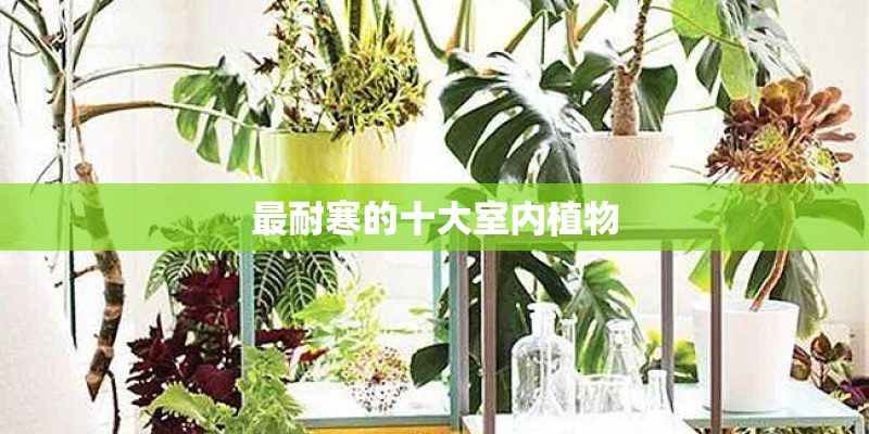 网上买笔记本电脑靠谱吗