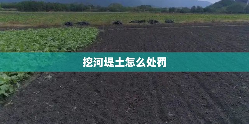 挖河堤土怎么处罚
