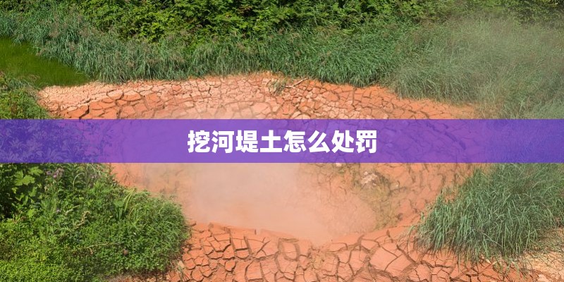挖河堤土怎么处罚