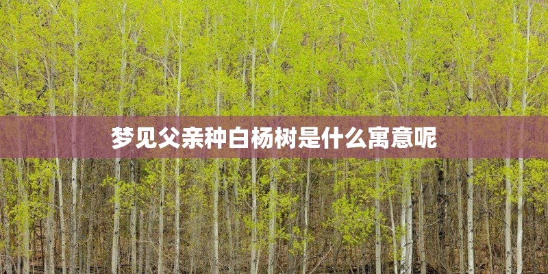 梦见父亲种白杨树是什么寓意呢