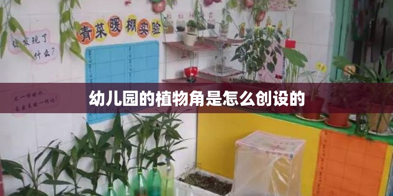 幼儿园的植物角是怎么创设的