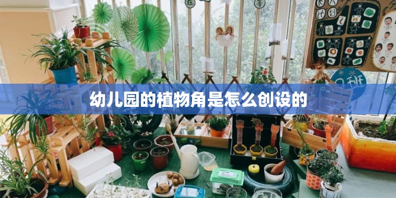 幼儿园的植物角是怎么创设的