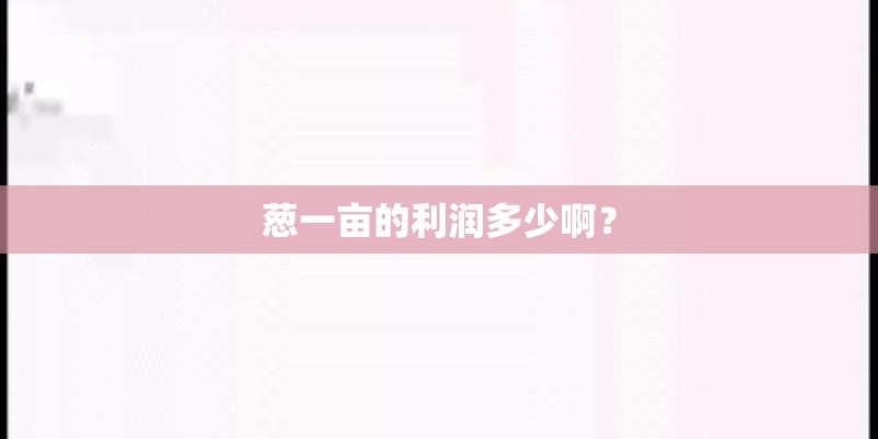 葱一亩的利润多少啊？