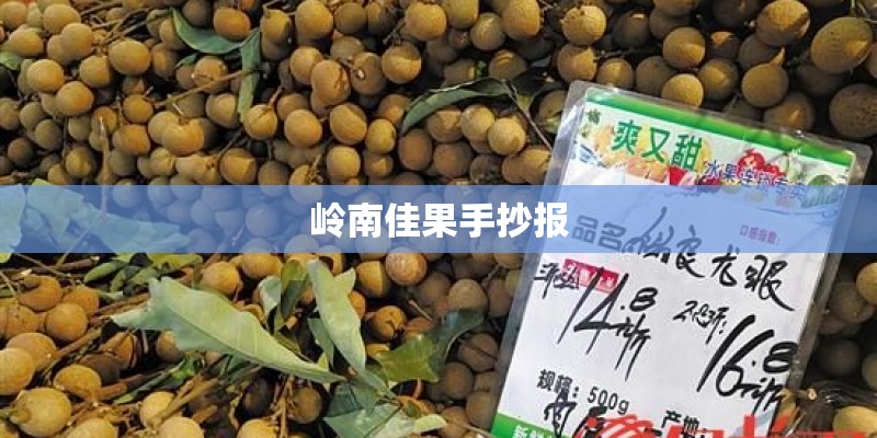 诺基亚N72与N73有什麼区别？