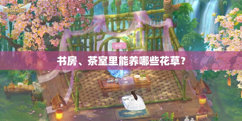 书房、茶室里能养哪些花草？
