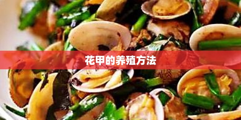 花甲的养殖方法