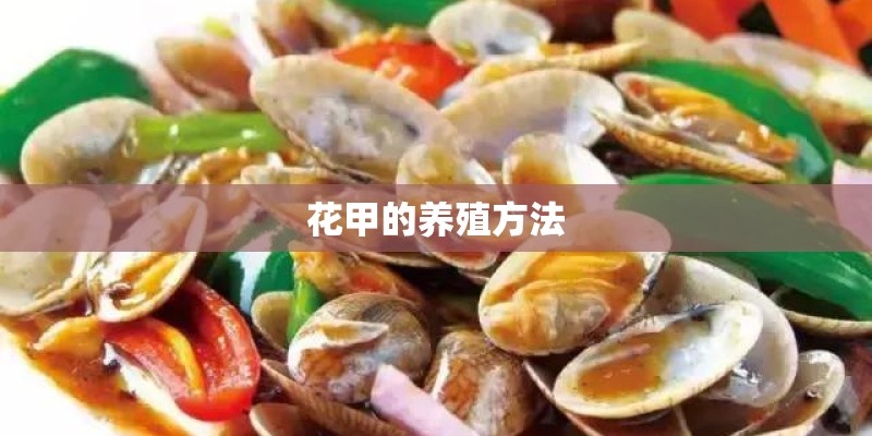 花甲的养殖方法