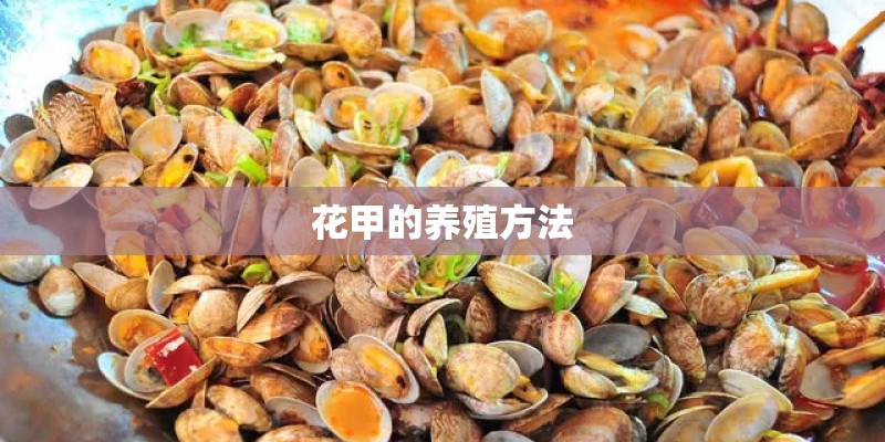 花甲的养殖方法