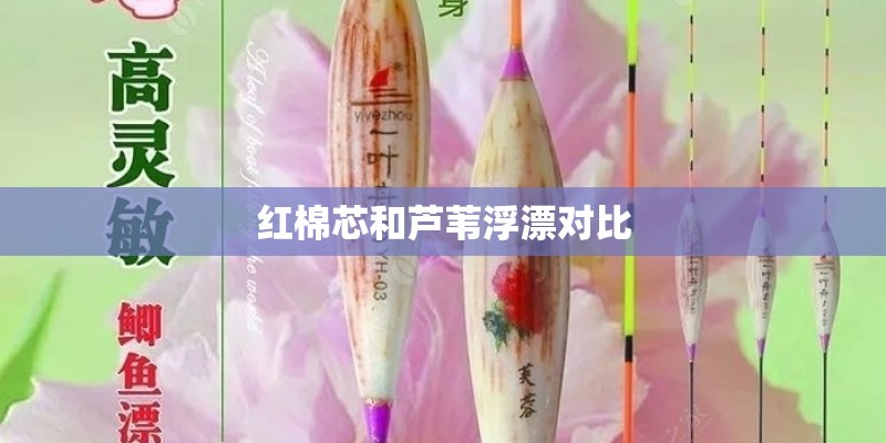 红棉芯和芦苇浮漂对比