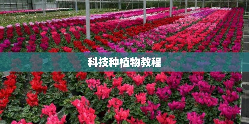 科技种植物教程