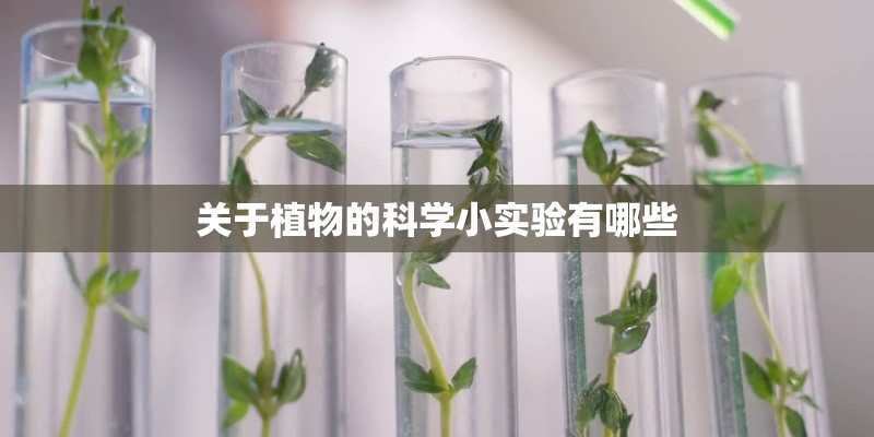 关于植物的科学小实验有哪些