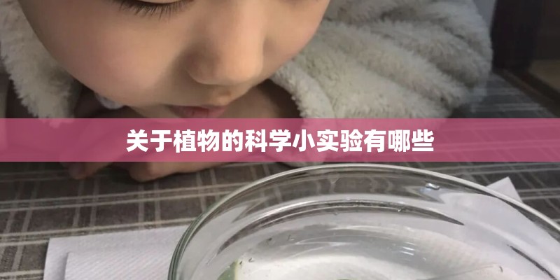 关于植物的科学小实验有哪些