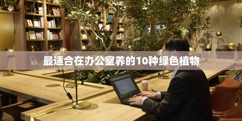 最适合在办公室养的10种绿色植物