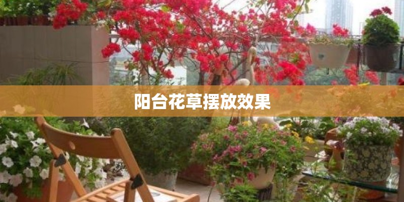 进门应该摆放什么植物