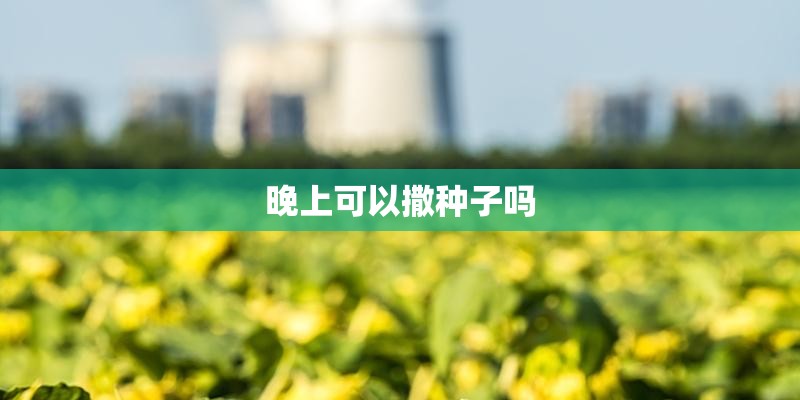 晚上可以撒种子吗