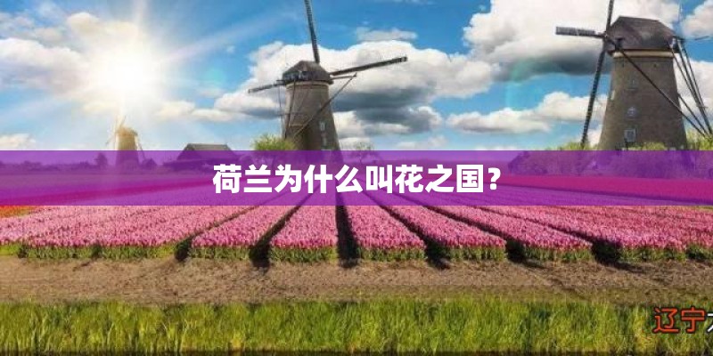 荷兰为什么叫花之国？