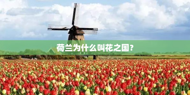 荷兰为什么叫花之国？