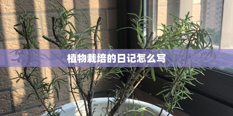 植物栽培的日记怎么写