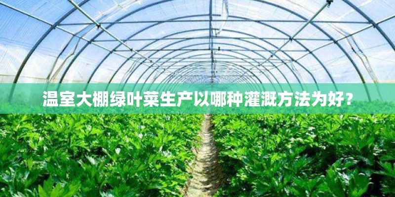温室大棚绿叶菜生产以哪种灌溉方法为好？