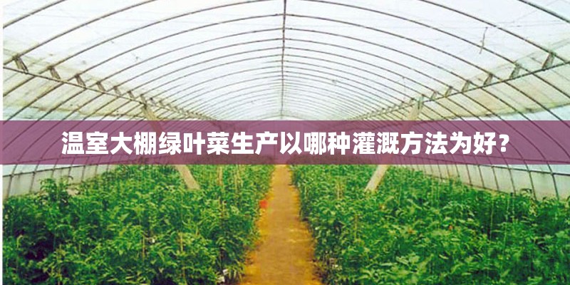 温室大棚绿叶菜生产以哪种灌溉方法为好？