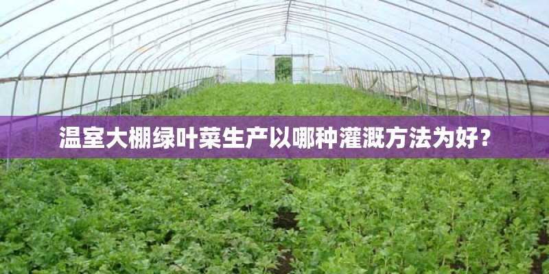温室大棚绿叶菜生产以哪种灌溉方法为好？
