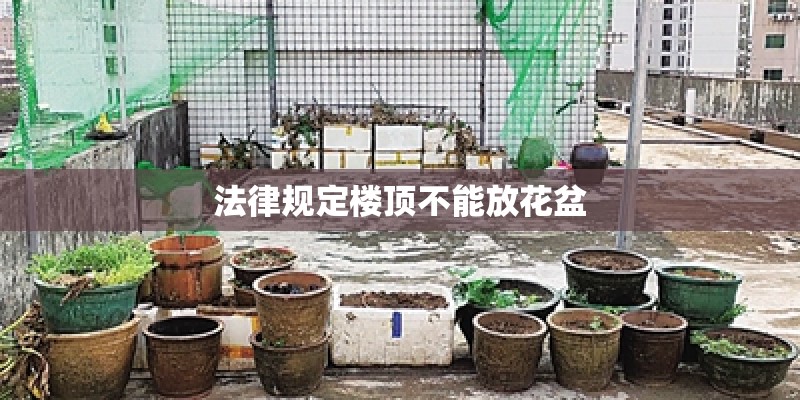 法律规定楼顶不能放花盆