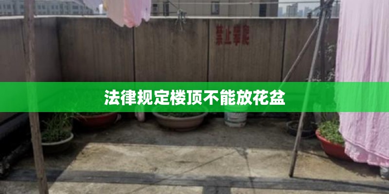 法律规定楼顶不能放花盆