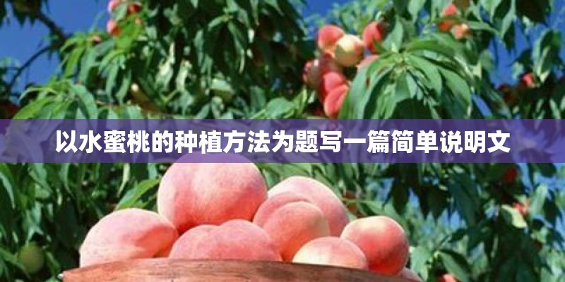 以水蜜桃的种植方法为题写一篇简单说明文