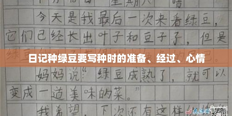 日记种绿豆要写种时的准备、经过、心情