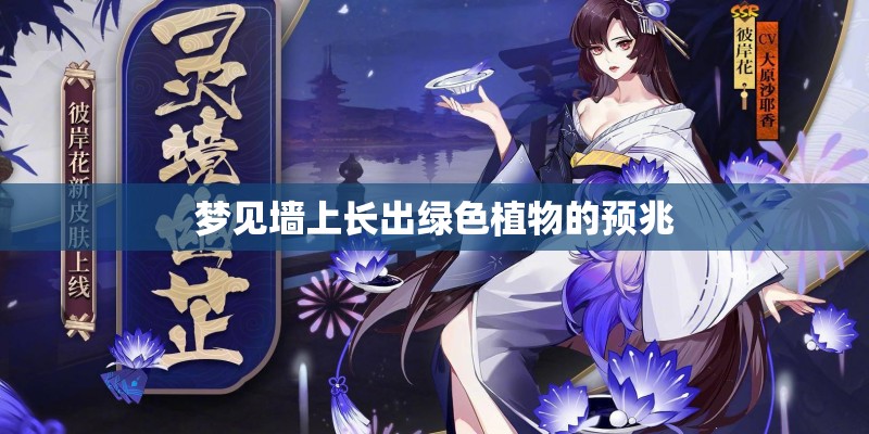 梦见墙上长出绿色植物的预兆
