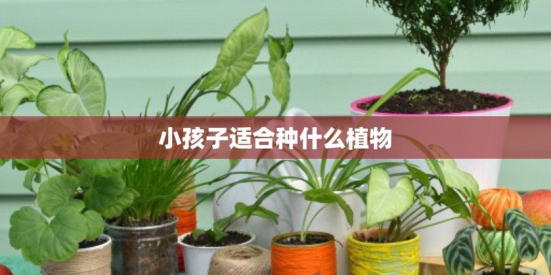 中兴通讯股份有限公司的单位性质是什么？