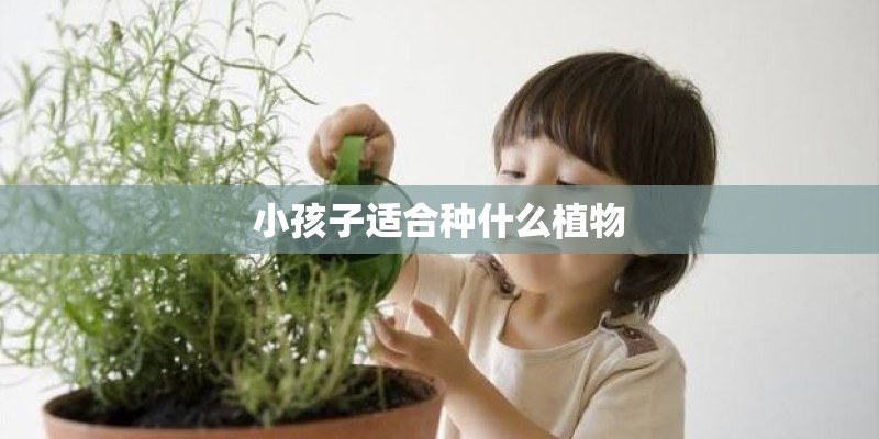 小孩子适合种什么植物