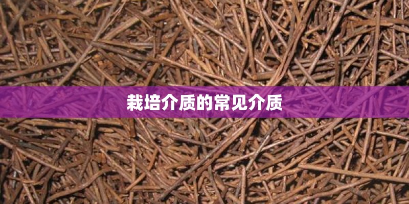 栽培介质的常见介质