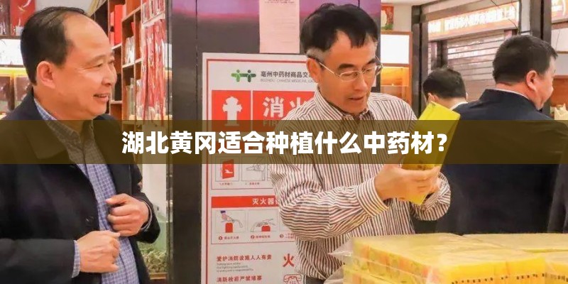 湖北黄冈适合种植什么中药材？