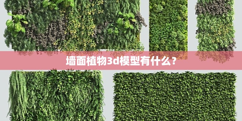 墙面植物3d模型有什么？